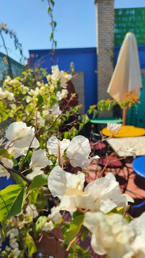 Riad Med Agora Marrakesh 0*,  Maroc