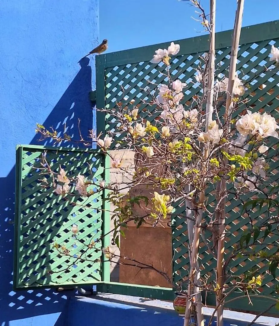 Riad Med Agora Marrakesch 0*,  Marokko